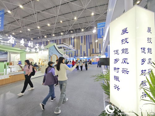 從賽場(chǎng)看鄉(xiāng)村振興的工匠力量 技術(shù)培訓(xùn)的賦能之路