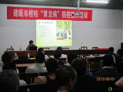 建甌市柑橘黃龍病防控技術(shù)培訓(xùn)