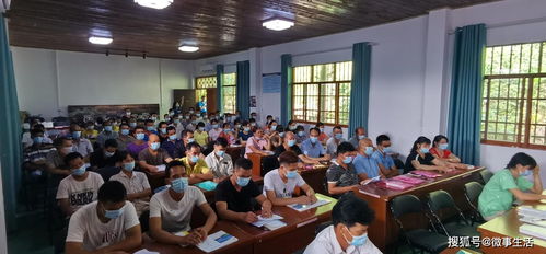 龍州縣農(nóng)業(yè)技術(shù)培訓(xùn)學(xué)習(xí)班助力產(chǎn)業(yè)升級(jí)，農(nóng)業(yè)發(fā)展迎來(lái)新希望